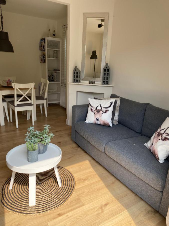 Zomerhuis Aan Zee ザントフォールト エクステリア 写真