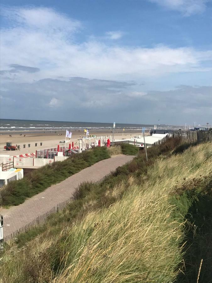 Zomerhuis Aan Zee ザントフォールト エクステリア 写真
