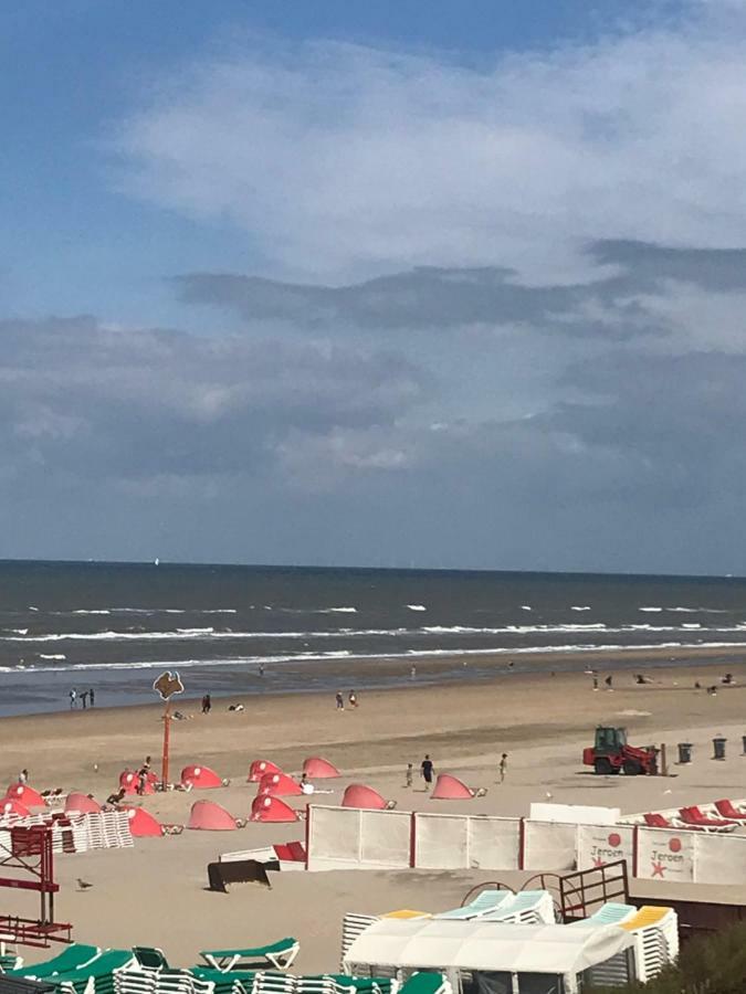 Zomerhuis Aan Zee ザントフォールト エクステリア 写真